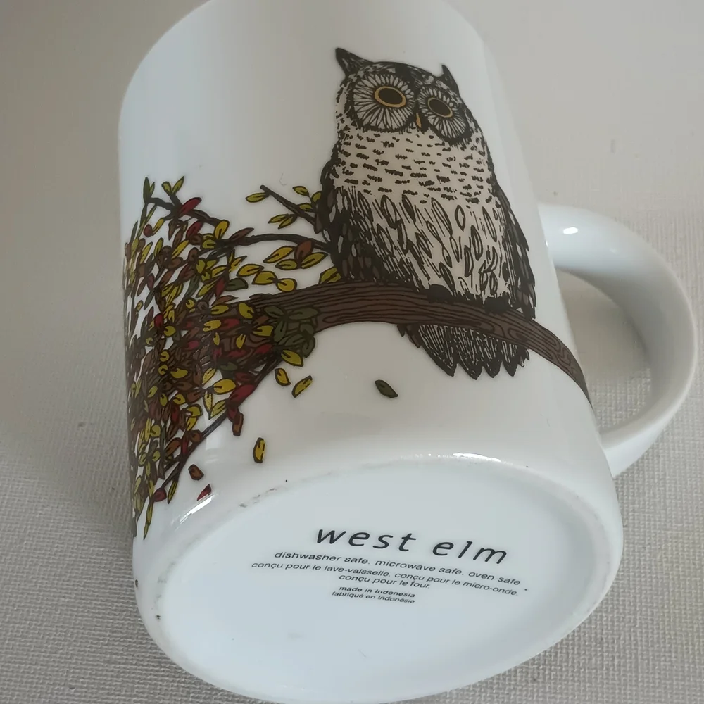 West Elm White Owl Mug